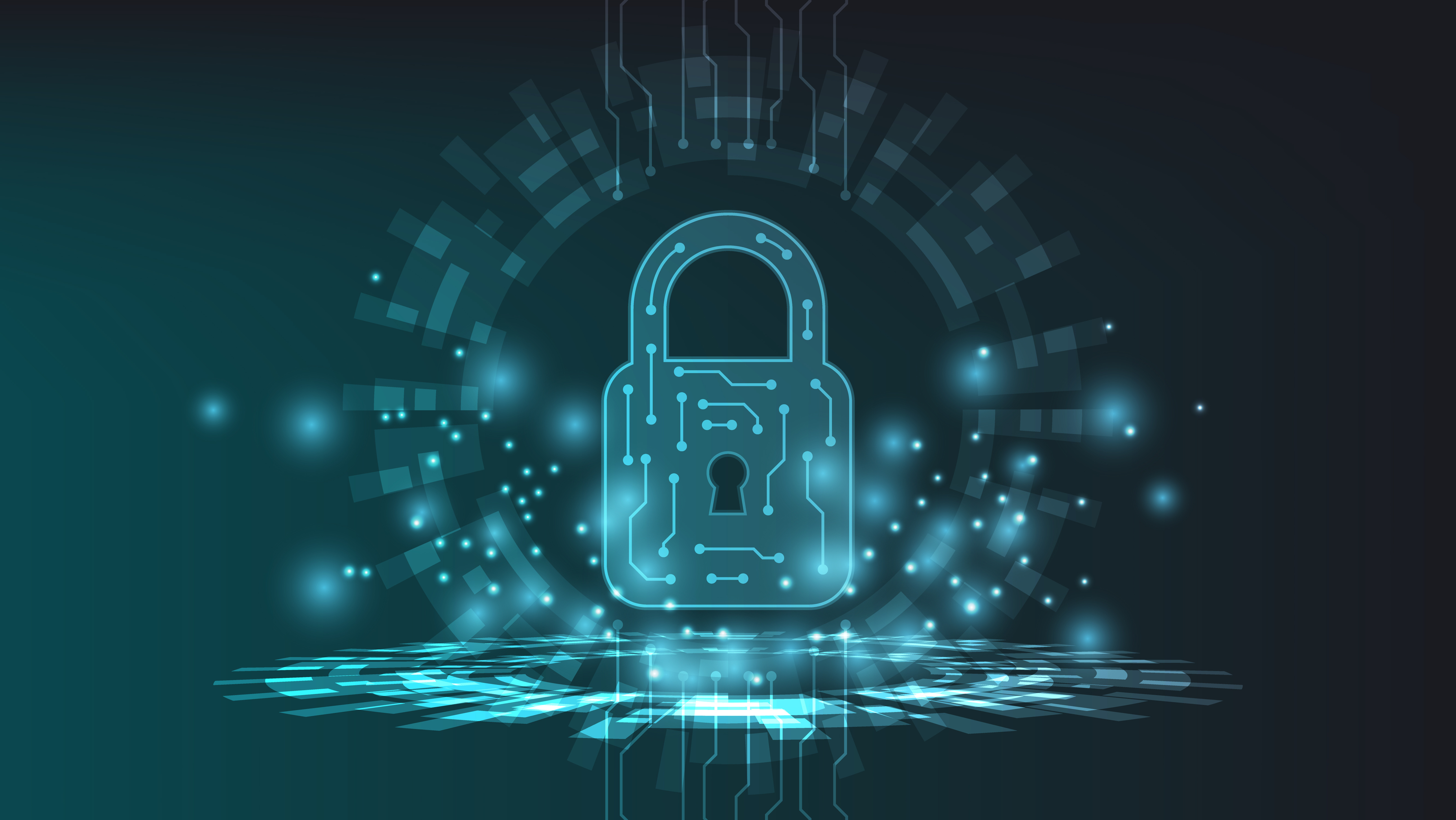 Maximising Security and Fraud Prevention