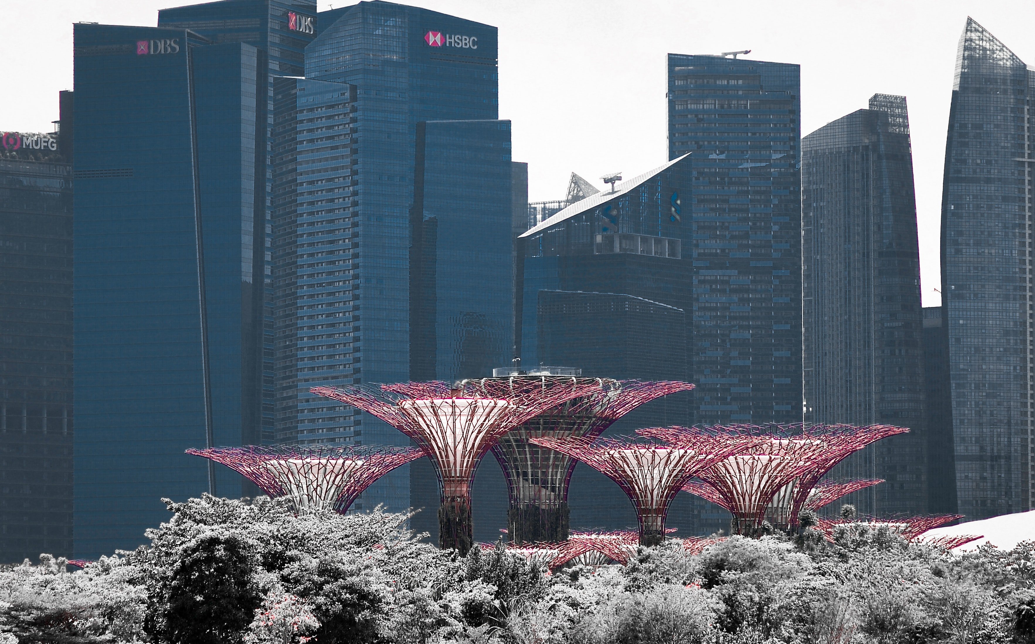 Do you understand what a virtual account / vIBAN really is?